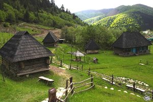 Tour to the Carpathians for a week from Lviv
