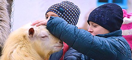 Праздник Вождение козы в Чернигове