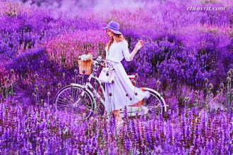 LAVENDER-TOUR TO TRANSCARPATHIA for 1 day from Lviv