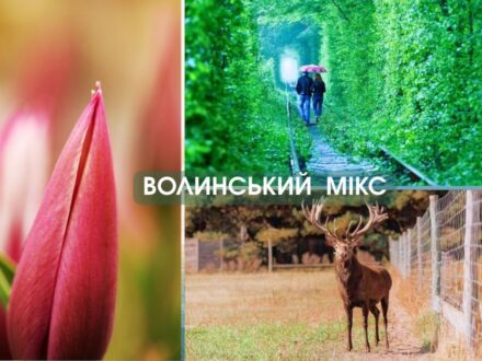 Автобусний тур на Волинь з Києва