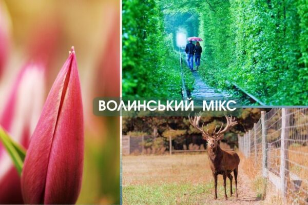 Автобусний тур на Волинь з Києва